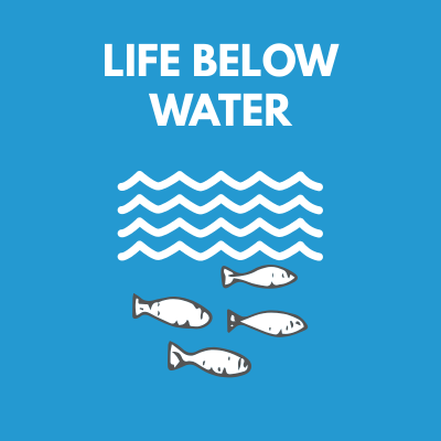 Life Below Water